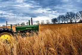 Tractor in a field