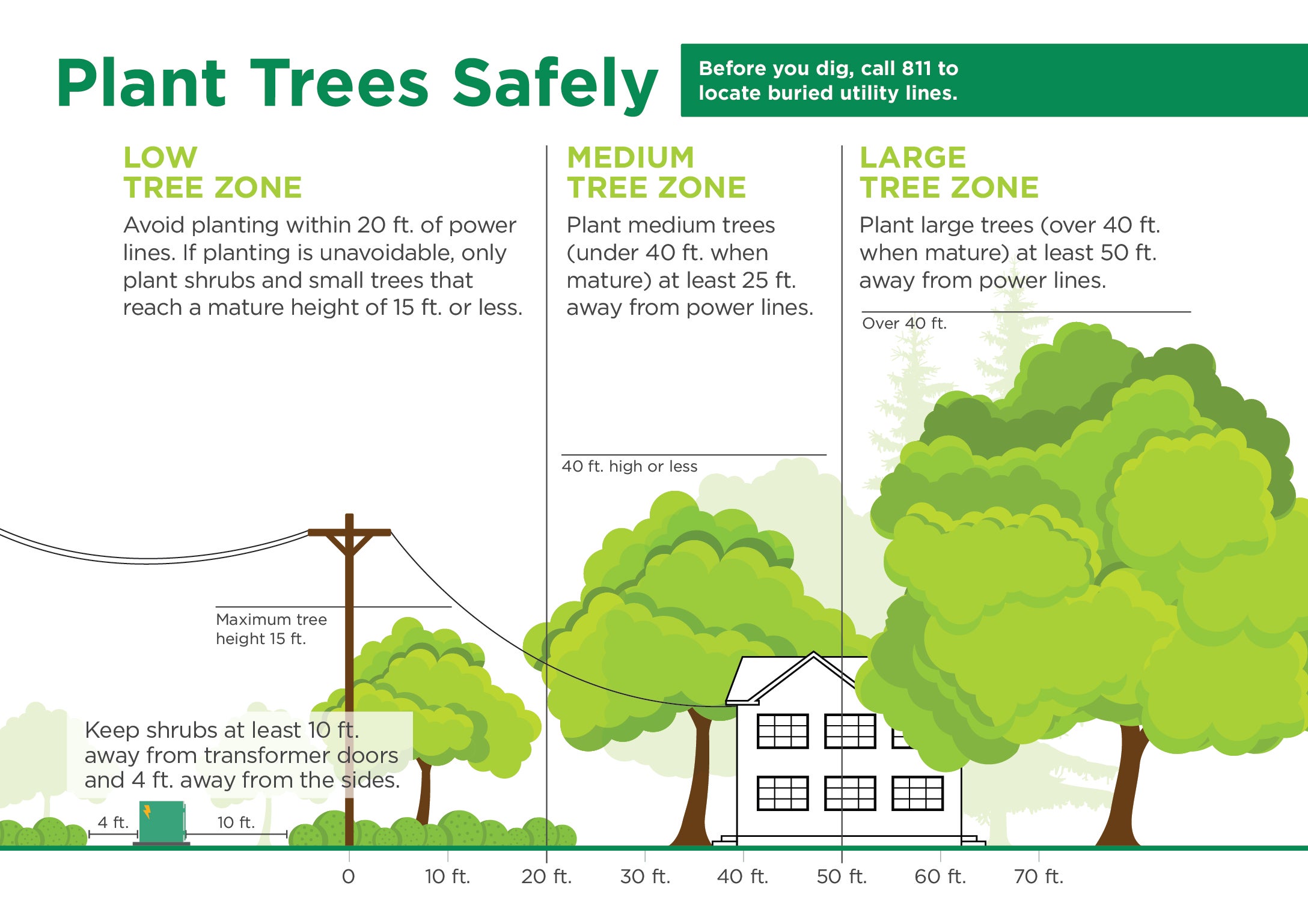 Tree Planting Graphic