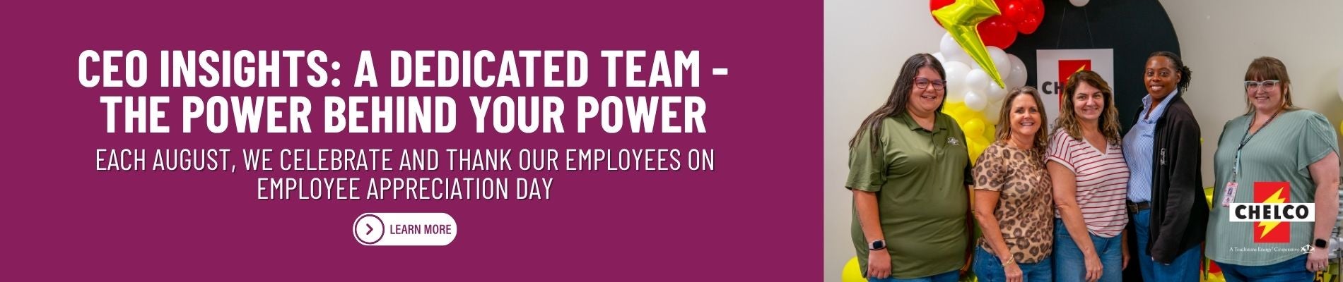 https://www.chelco.com/ceo-insights-dedicated-team-power-behind-your-power