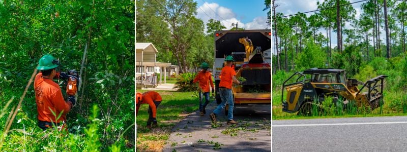 CEO Insights: Powering Reliability Through Right-of-Way Maintenance