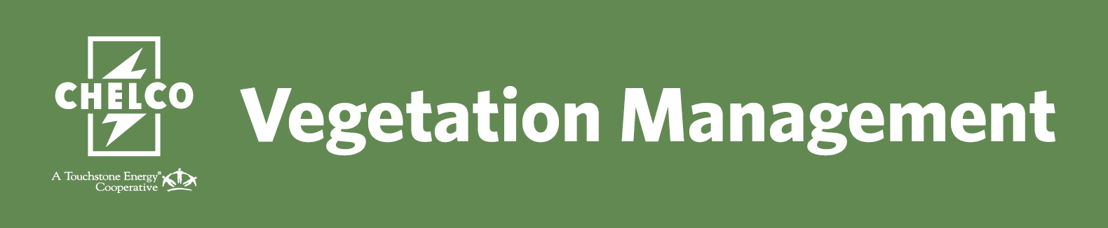 Vegetation Management